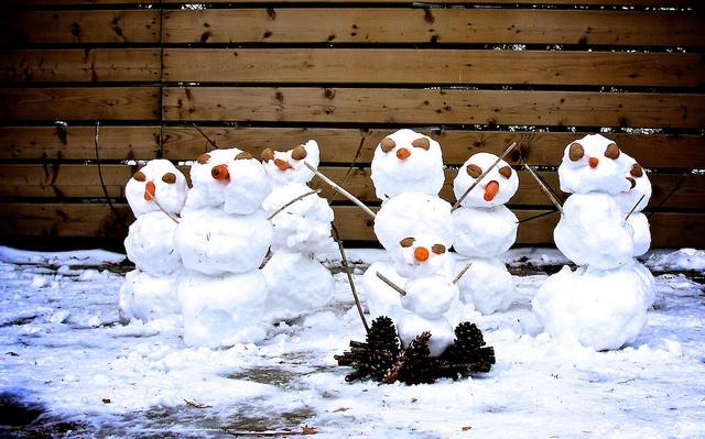 Resistance is futile.... DSC07448