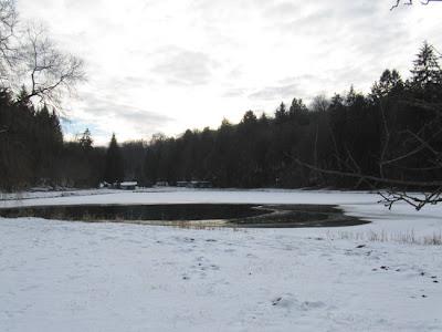 Les étangs de Longeau (55)