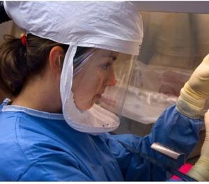 Recherches H5N1: Retarder leur publication pour mieux rassurer  – OMS-Science