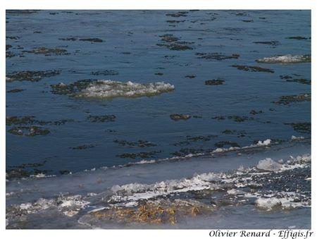 Embâcle de Loire IMG_5944 copie