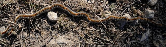 Retour vers le printemps Retour vers le printemps