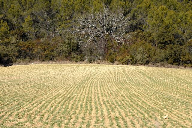 Retour vers le printemps Retour vers le printemps