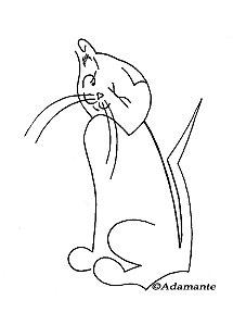 Brassens et pas une ride ! Clin d'œil chat ada-copie-1