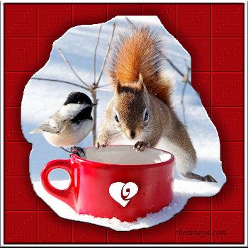 Votez pour votre recette préférée, et gagnez 5 000 euros. Et... c-le-partage-entre-amis.jpg