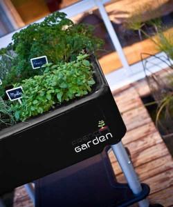 FG_PBLACK13_site Vite un jardin : le French Garden