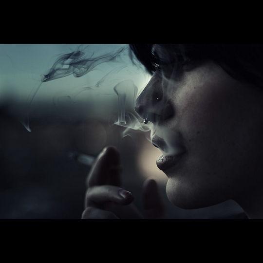 Brandt Campbell La sélection Pixfan 500px #18