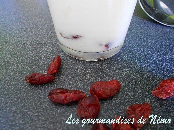 yaourts-cranberries--3-.JPG