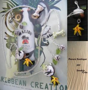 parure exo Concours Whoopies : Les participantes !