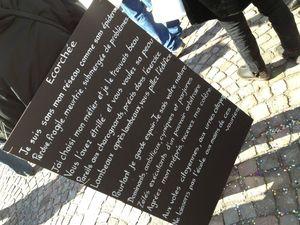 Les écoles de #Mulhouse dans la rue pour défendre les RASED contre #sarkocasuffit IMG_5063