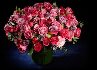 Interflora-prestige_02 Interflora-prestige_02