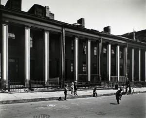 willow 2 Berenice Abbott : la photographie froide