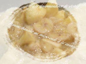 Pomme/banane au micro-onde à la cannelle pomme banane au micro onde a la cannelle