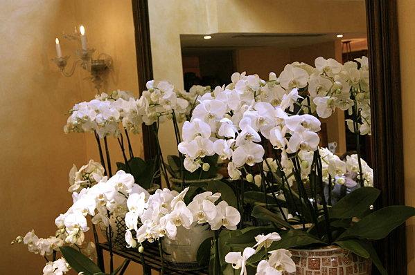 Un thé chez Mariage Frères DSC08950