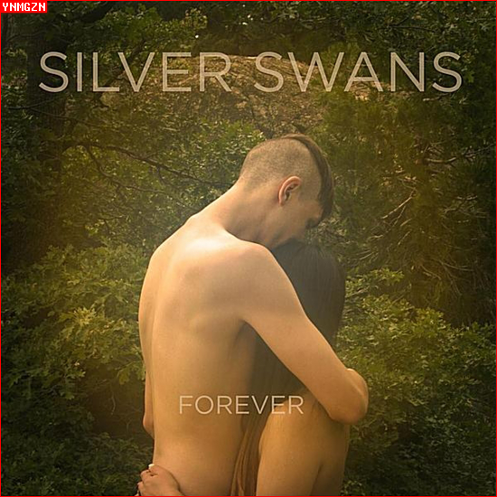 [MP3] Silver Swans: « Let It Happen »