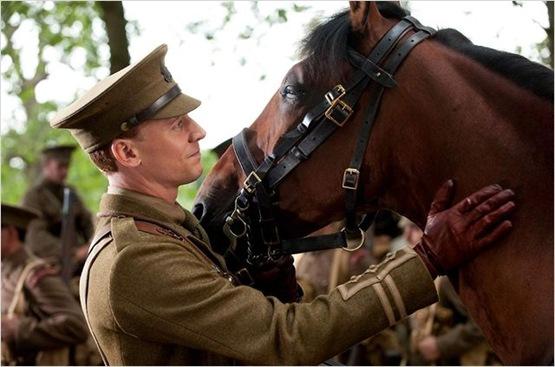 cheval de guerre - 5 cheval de guerre - 5