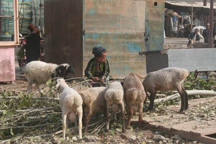 Carnet de bord du Xinjiang : Kashgar Balades dans Kashgar