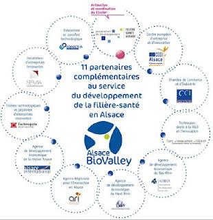 Alsace BioValley amplifie son action au bénéfice des entreprises et laboratoires alsaciens de la filière Sciences de la Vie-Santé