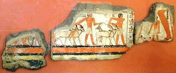 Fragments E 25513 - E 25512 et E 25524 (Photo : SAS) 49. Fragments E 25513 - E 25512 - E 25524 (SAS)