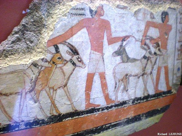 Fragment E 25512 Fragment E 25512 (2011)