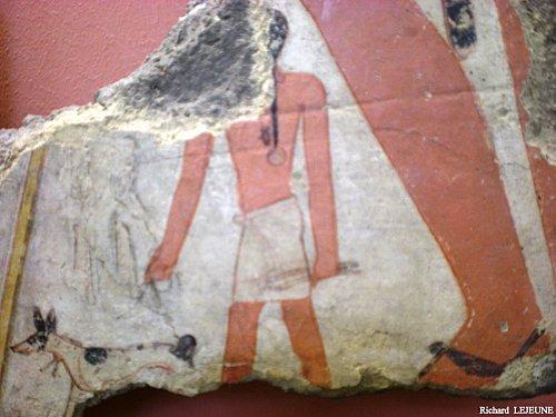 SALLE 5 - VITRINE 4 ² : LES PEINTURES DU MASTABA DE METCHETCHI - 23. DE LA RAISON DE LA PRÉSENCE DE L'ORYX DANS L'ICONOLOGIE DE L'OFFRANDE ALIMENTAIRE Fragment E 25524 (2011)