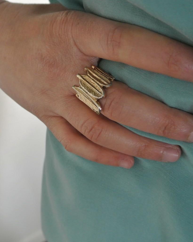 DSC_0924 J’ai succombé.