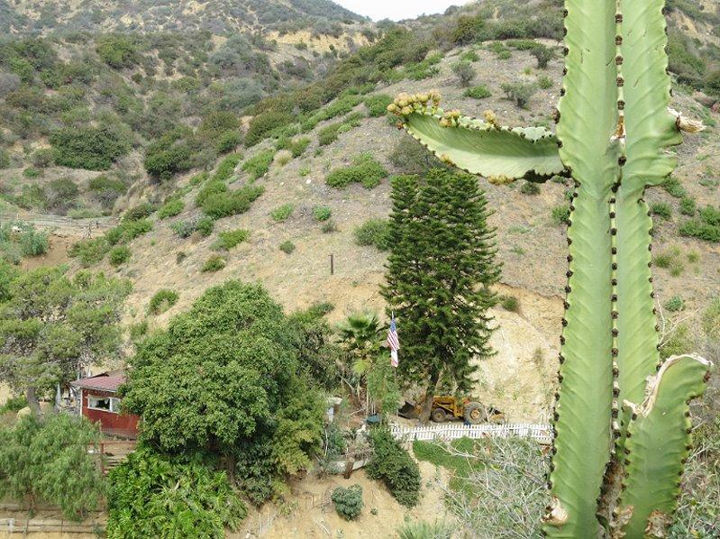 Californie day 4 - Hollywood (14) Hello Hollywood!