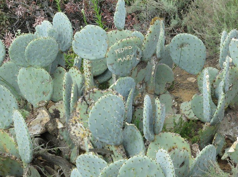 Californie day 4 - Hollywood (16) Hello Hollywood!