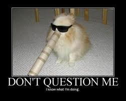 Pas de question sur l'image, c'est n'importe quoi... Pas de question sur l'image, c'est n'importe quoi...