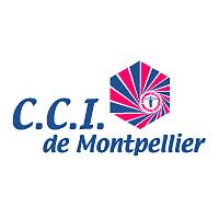 logo-CCI-Montpellier Conférence Media Aces : Les médias sociaux en 2012, la fin du début ou le début de la fin?