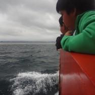 Les îles Chiloé - Chili - 2012 - Bateau - Puerto Montt (3)
