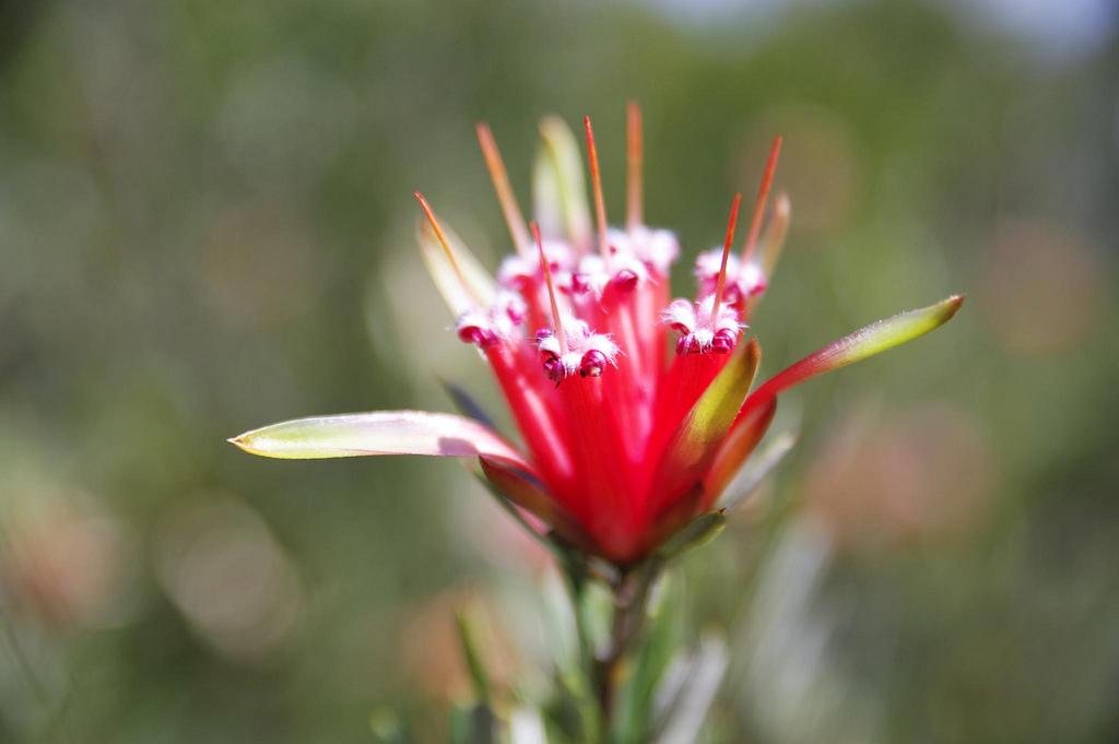 A la campagne... A la campagne...