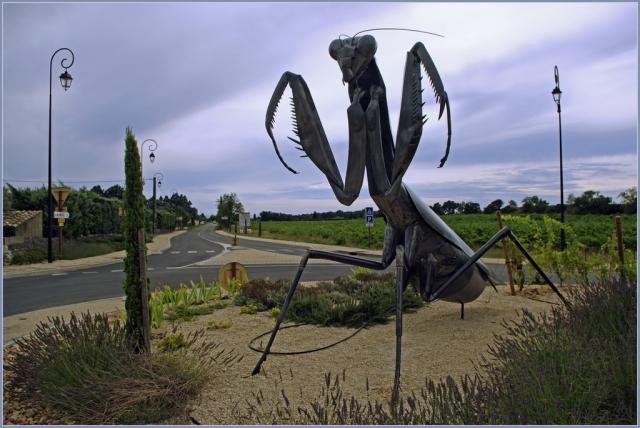 mante religieuse Sortie: Le naturoptère