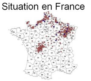 VIRUS SCHMALLENBERG: 411 exploitations touchées en France – DGAL