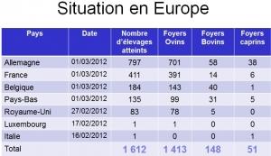 VIRUS SCHMALLENBERG: 411 exploitations touchées en France – DGAL