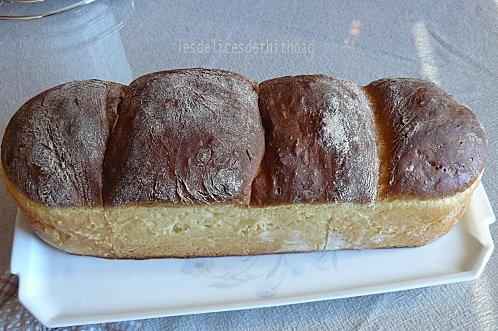 une brioche tout simplement! P1130841.JPG