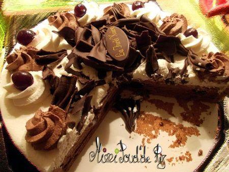 Ma page de février DSCN0406