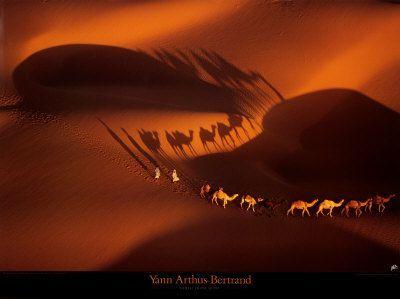 gratuit'attitude arthus-bertrand-yann-caravane-de-dromadaires-aux-environs-de-nouakchott-mauritanie