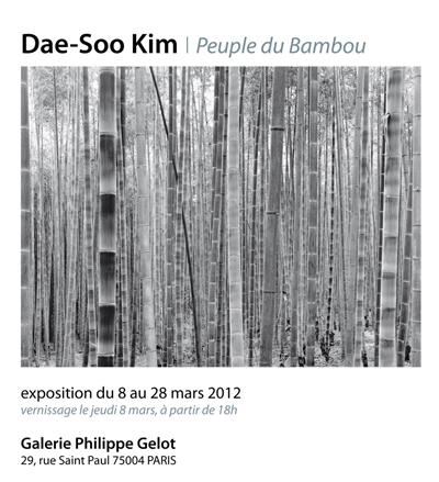 Galerie Philippe Gelot // exposition de Dae-Soo Kim