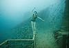 vandenberg-underwater-photography-12-610x423