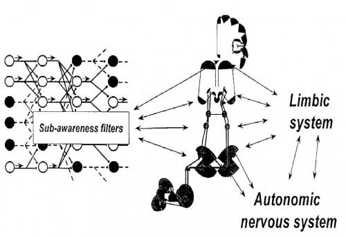 Détection de l´acouphène - 2ème partie système limbique, filtres, plasticité, carpentier, grossberg, Salvi, Gerken, Sasaki