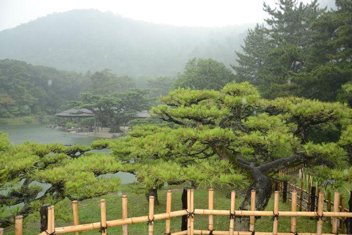 En attendant le soleil ... au Ritsurin koen de Takamatsu 3 juillet Takamatsu Ritsurin 320