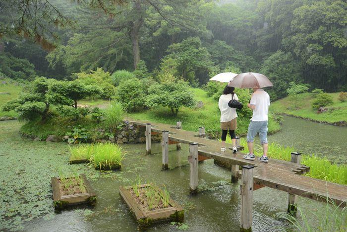 En attendant le soleil ... au Ritsurin koen de Takamatsu 3 juillet Takamatsu Ritsurin 284