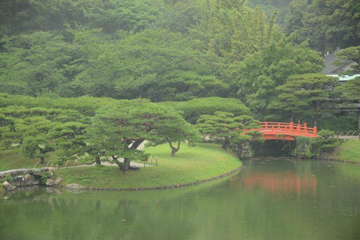 En attendant le soleil ... au Ritsurin koen de Takamatsu 3 juillet Takamatsu Ritsurin 355
