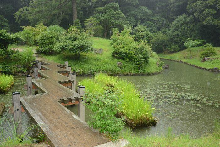 En attendant le soleil ... au Ritsurin koen de Takamatsu 3 juillet Takamatsu Ritsurin 283