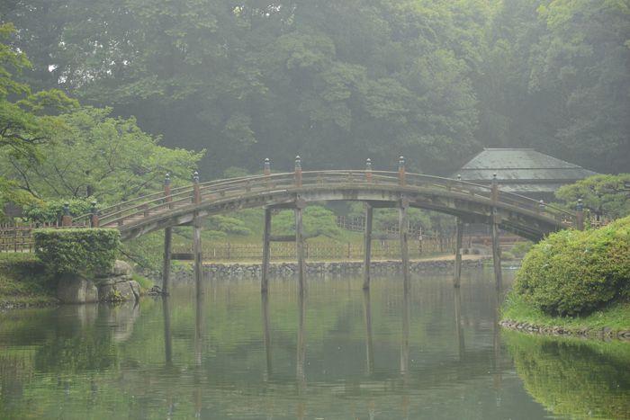 En attendant le soleil ... au Ritsurin koen de Takamatsu 3 juillet Takamatsu Ritsurin 344