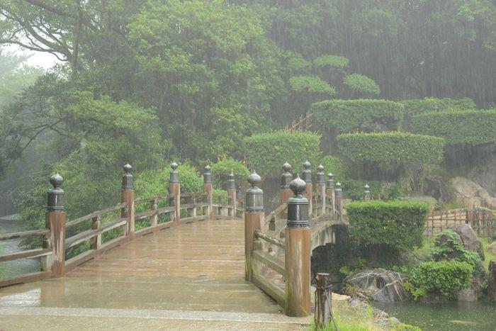 En attendant le soleil ... au Ritsurin koen de Takamatsu 3 juillet Takamatsu Ritsurin 330