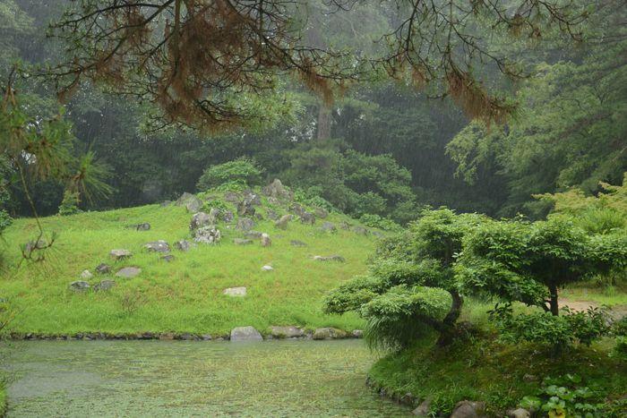 En attendant le soleil ... au Ritsurin koen de Takamatsu 3 juillet Takamatsu Ritsurin 285