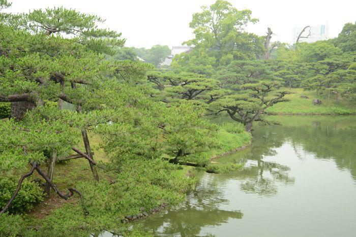 En attendant le soleil ... au Ritsurin koen de Takamatsu 3 juillet Takamatsu Ritsurin 349