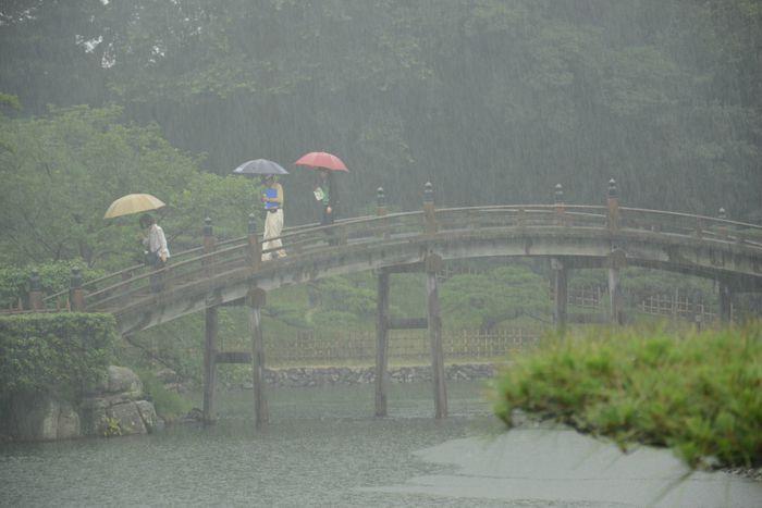 En attendant le soleil ... au Ritsurin koen de Takamatsu 3 juillet Takamatsu Ritsurin 323