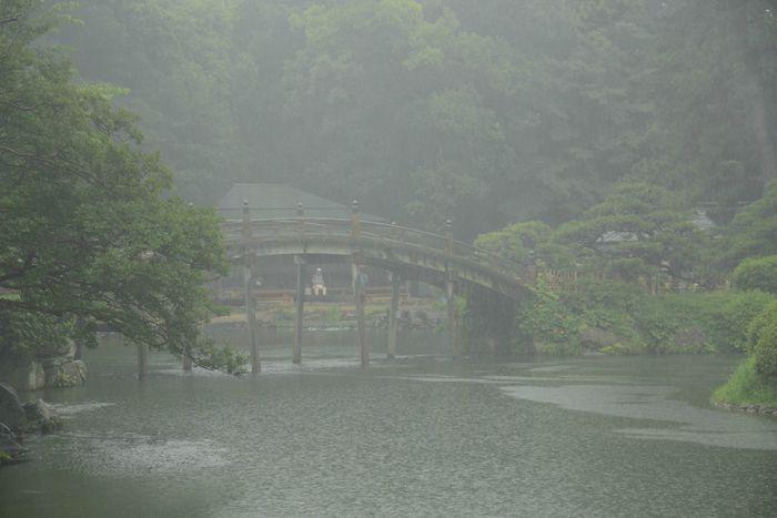 En attendant le soleil ... au Ritsurin koen de Takamatsu 3 juillet Takamatsu Ritsurin 338